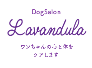 DogSalon Lavandulaワンちゃんの心と体をケアします