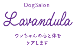 DogSalon Lavandulaワンちゃんの心と体をケアします